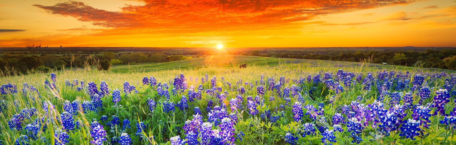 Touchstone Ranch Recovery Center